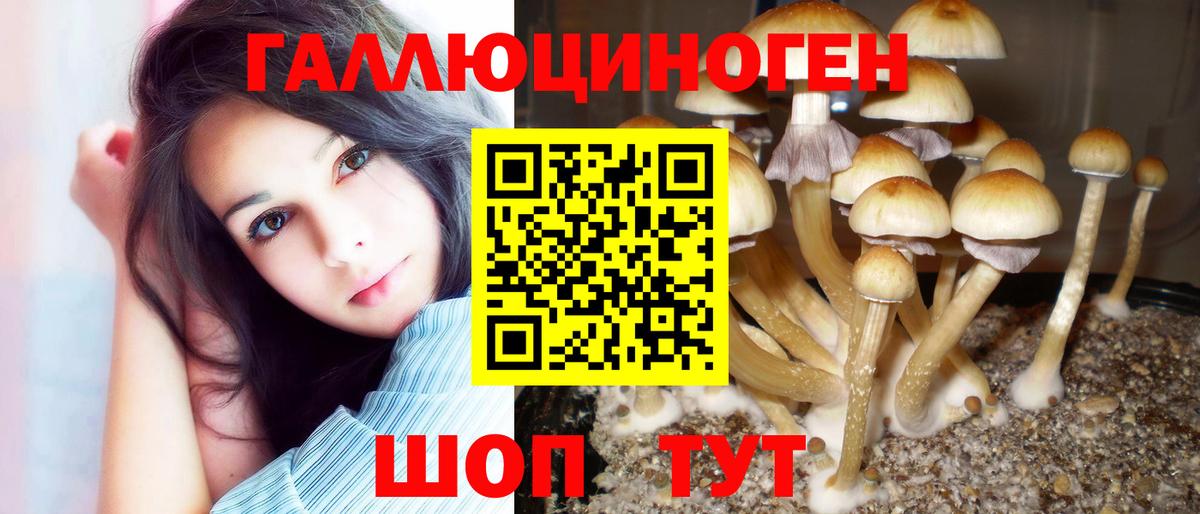 Псилоцибиновые грибы мухоморы  Вход с VPN  Псилоцибиновые грибы мухоморы  Набережные Челны 